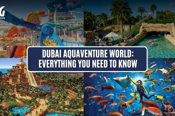 Dubai Aquaventure World: Everything You Need to Know